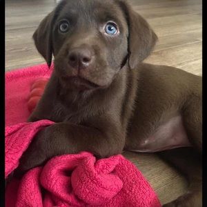 Meet your Posher, Haley